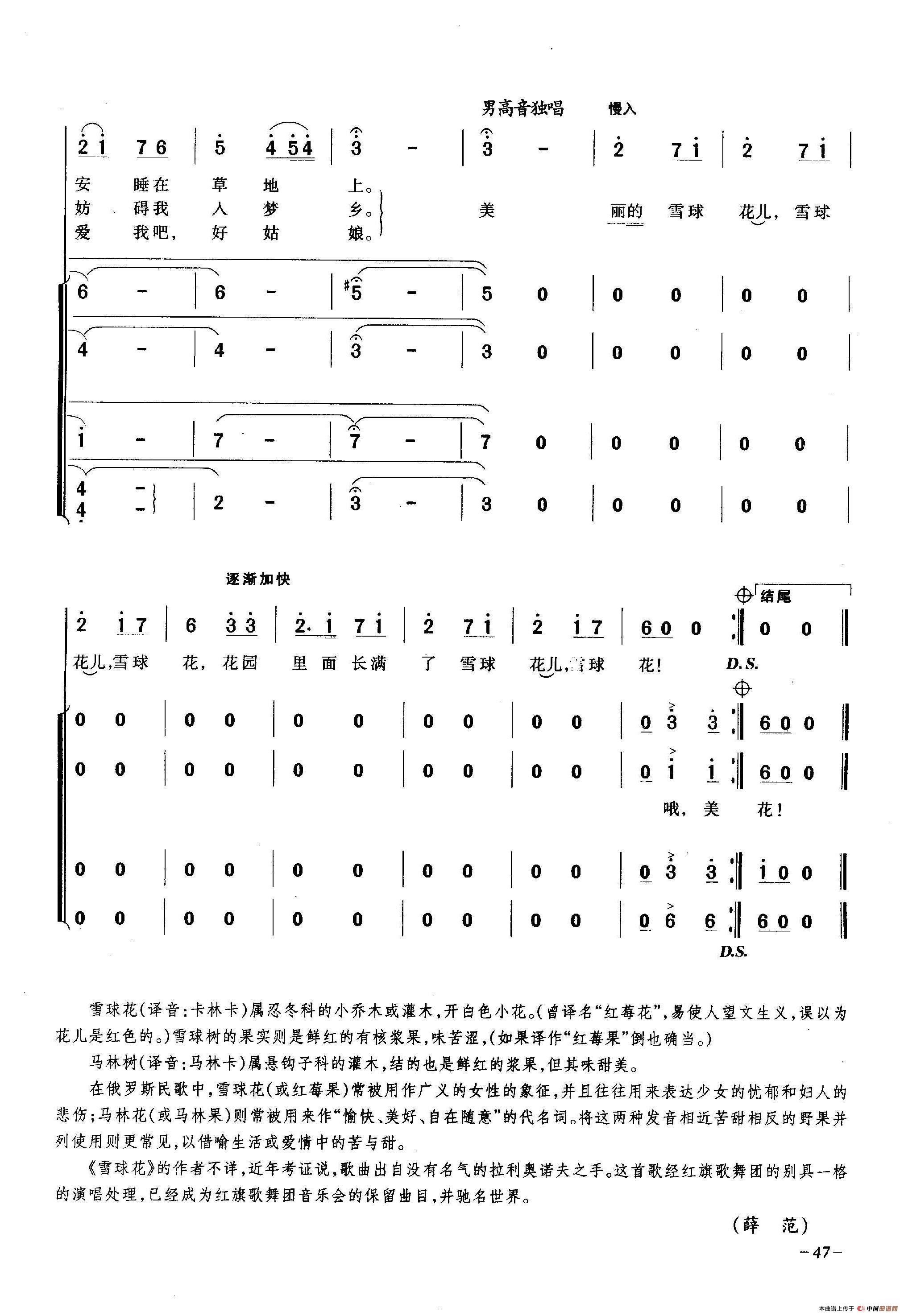 雪球花1简谱|雪球花1最新简谱|雪球花1简谱下载